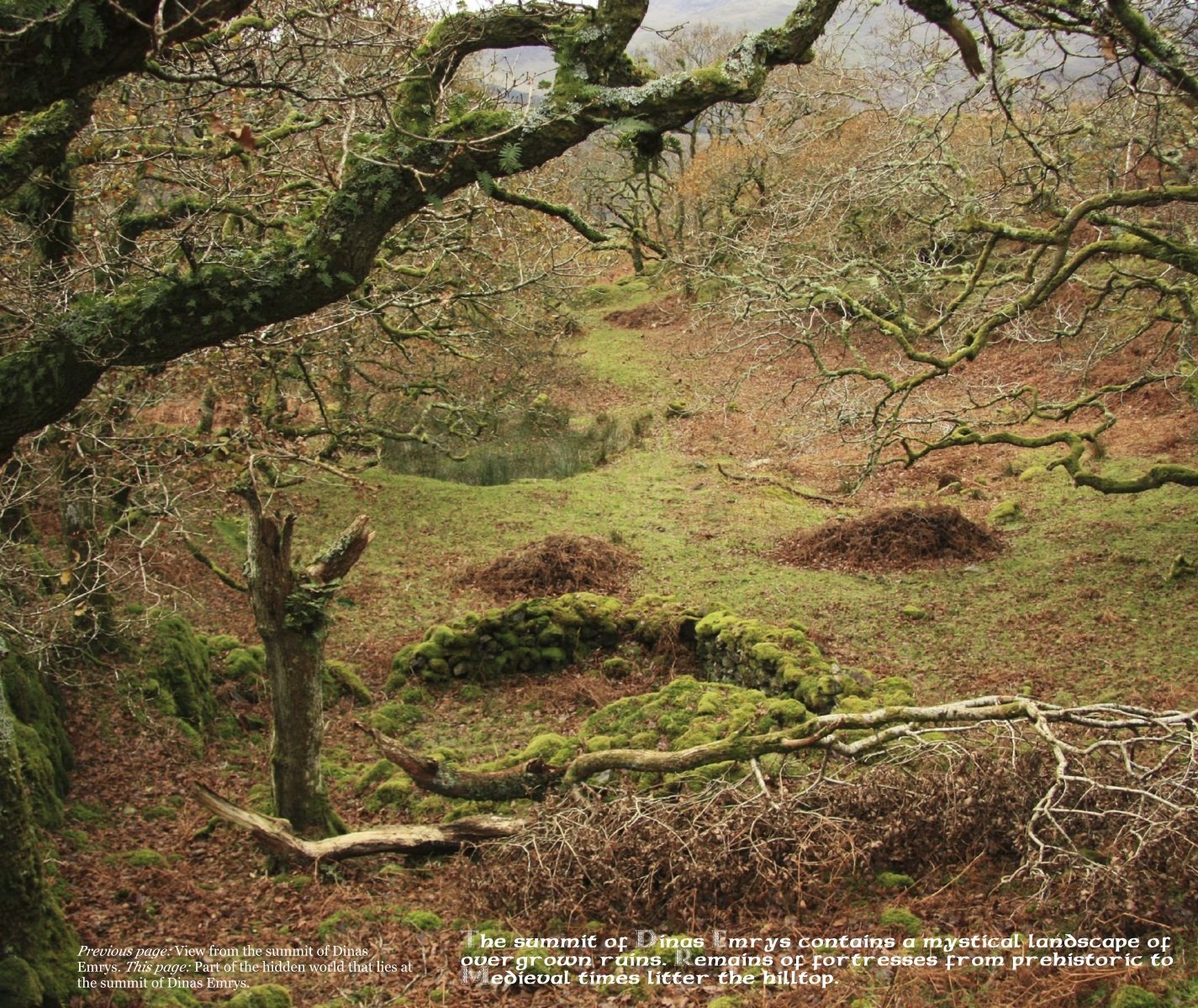 Magical Places Of Britain Book - Dinas Emrys Summit - Viking Dragon Books