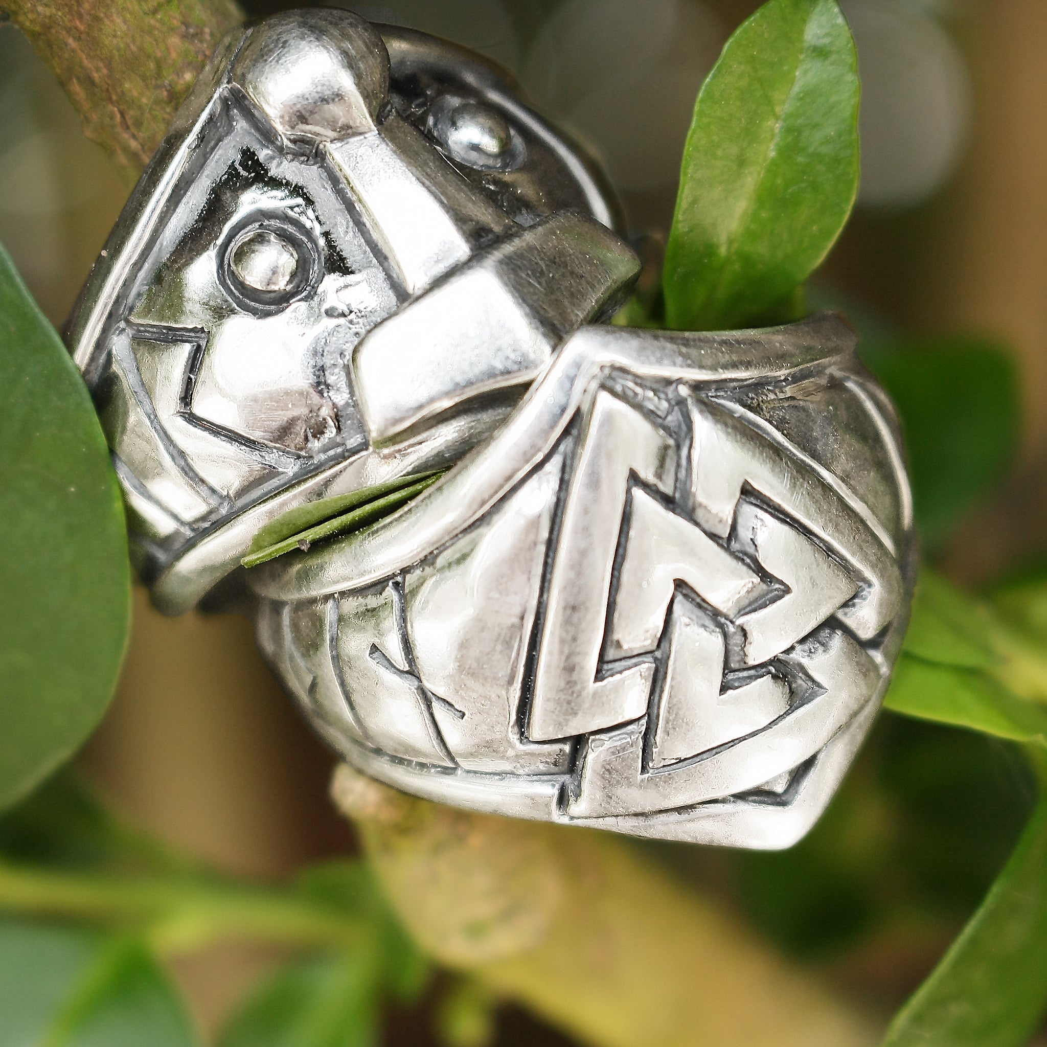 Silver Odin and Thor Protection Rings on Tree