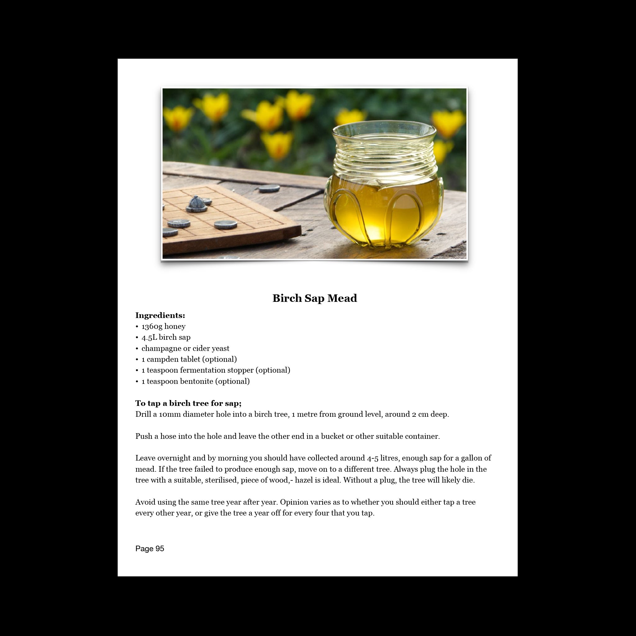 Eat Like a Viking Book Vol 2 - Birch Sap Mead