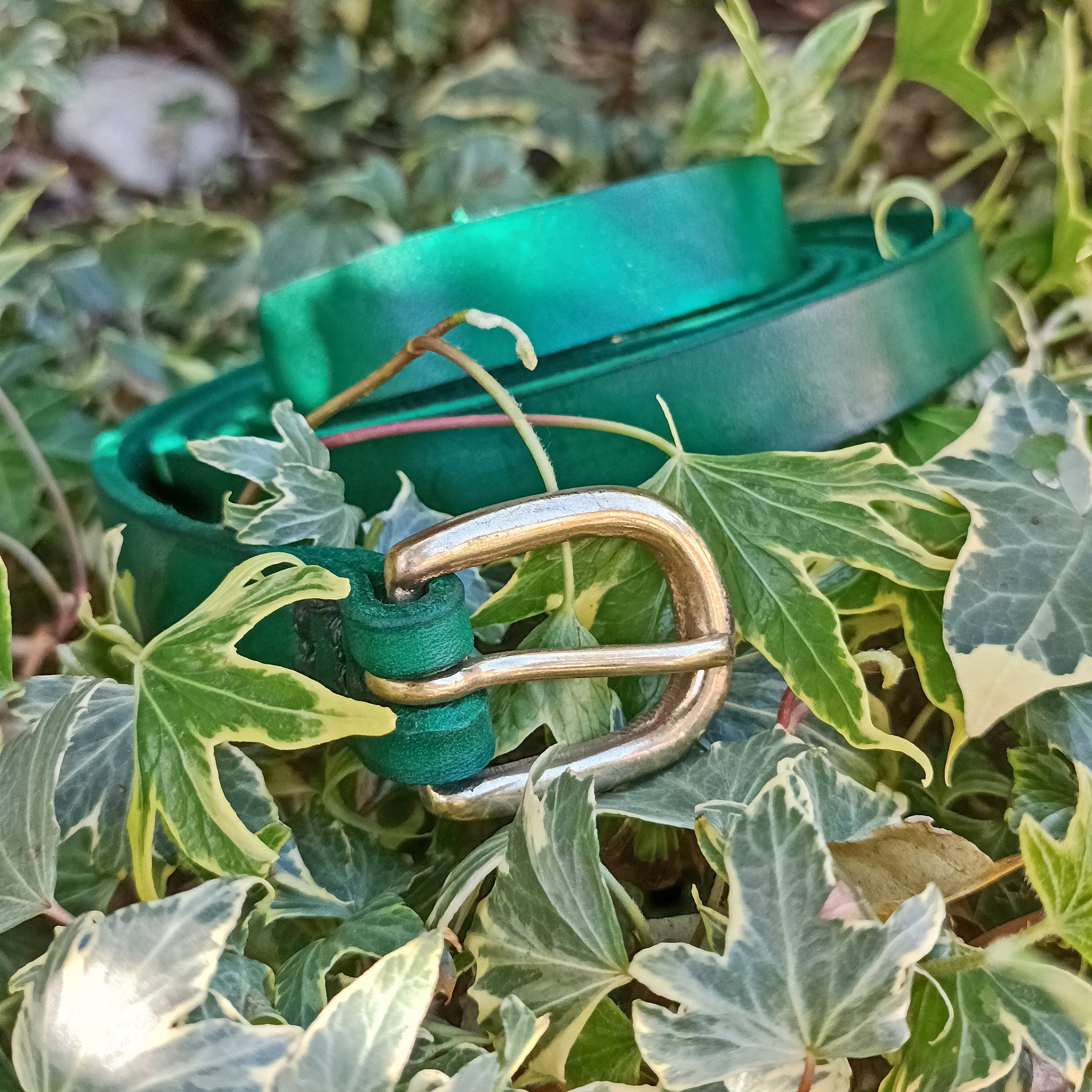 19mm Wide Green Leather Viking Belt with Brass Buckle - In Nature