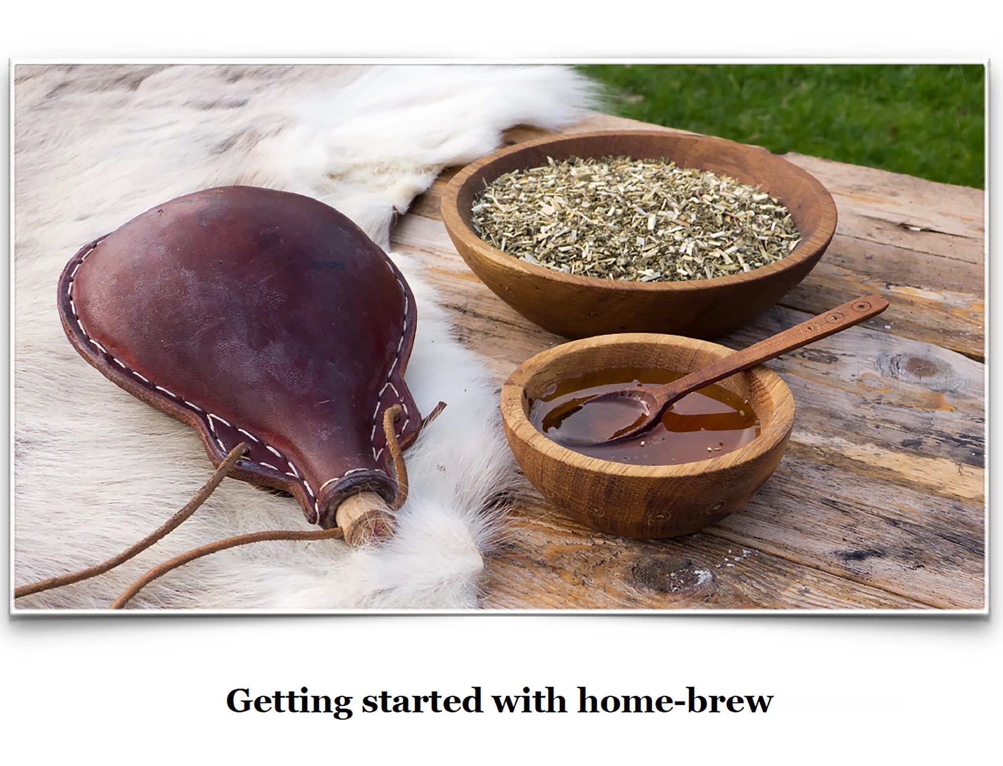 Eat Like a Viking Book - Getting Started with Homebrew