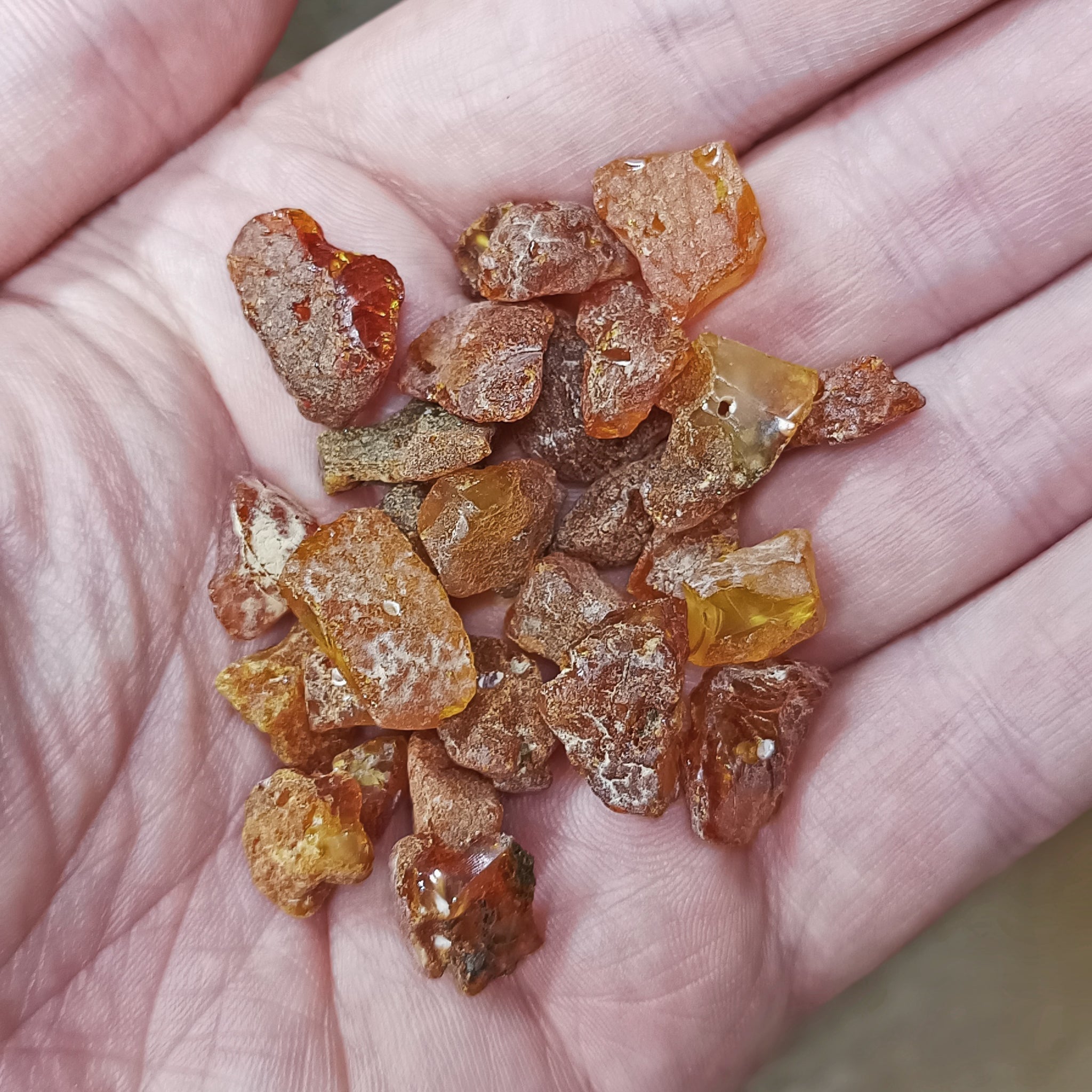 Raw Amber Chips with Drilled Holes in Hand