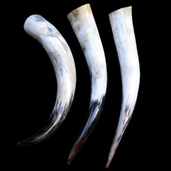 Large Polished Drinking Horn - Viking Drinking Horns