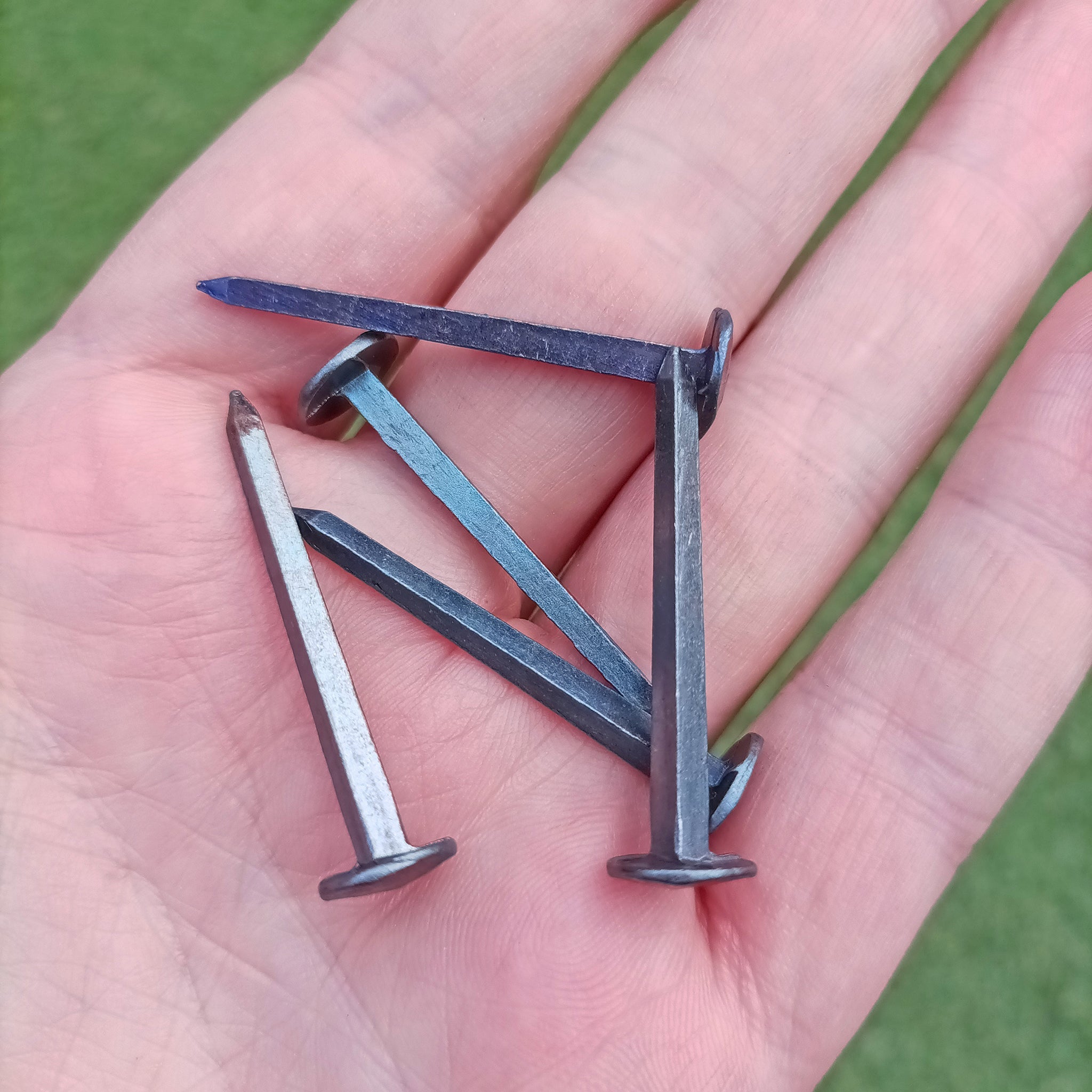 Steel Shield Rivets / Nails - Medium x 5 on Hand