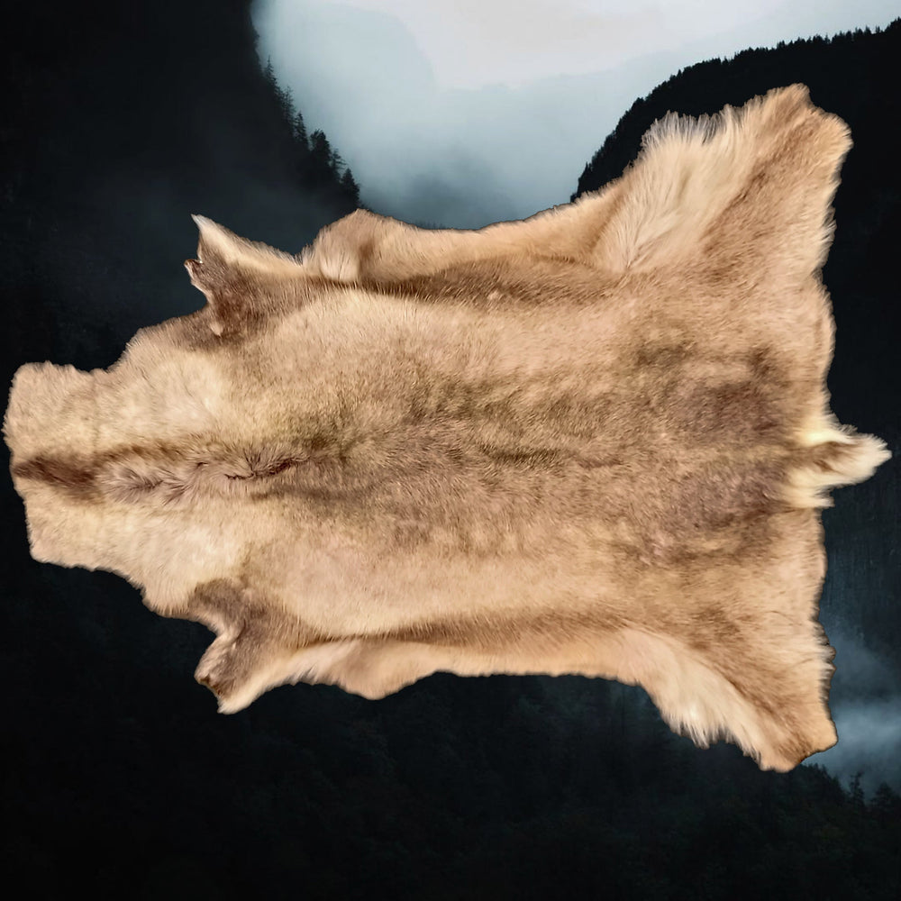 Animal Hides Animal Skins Viking Dragon