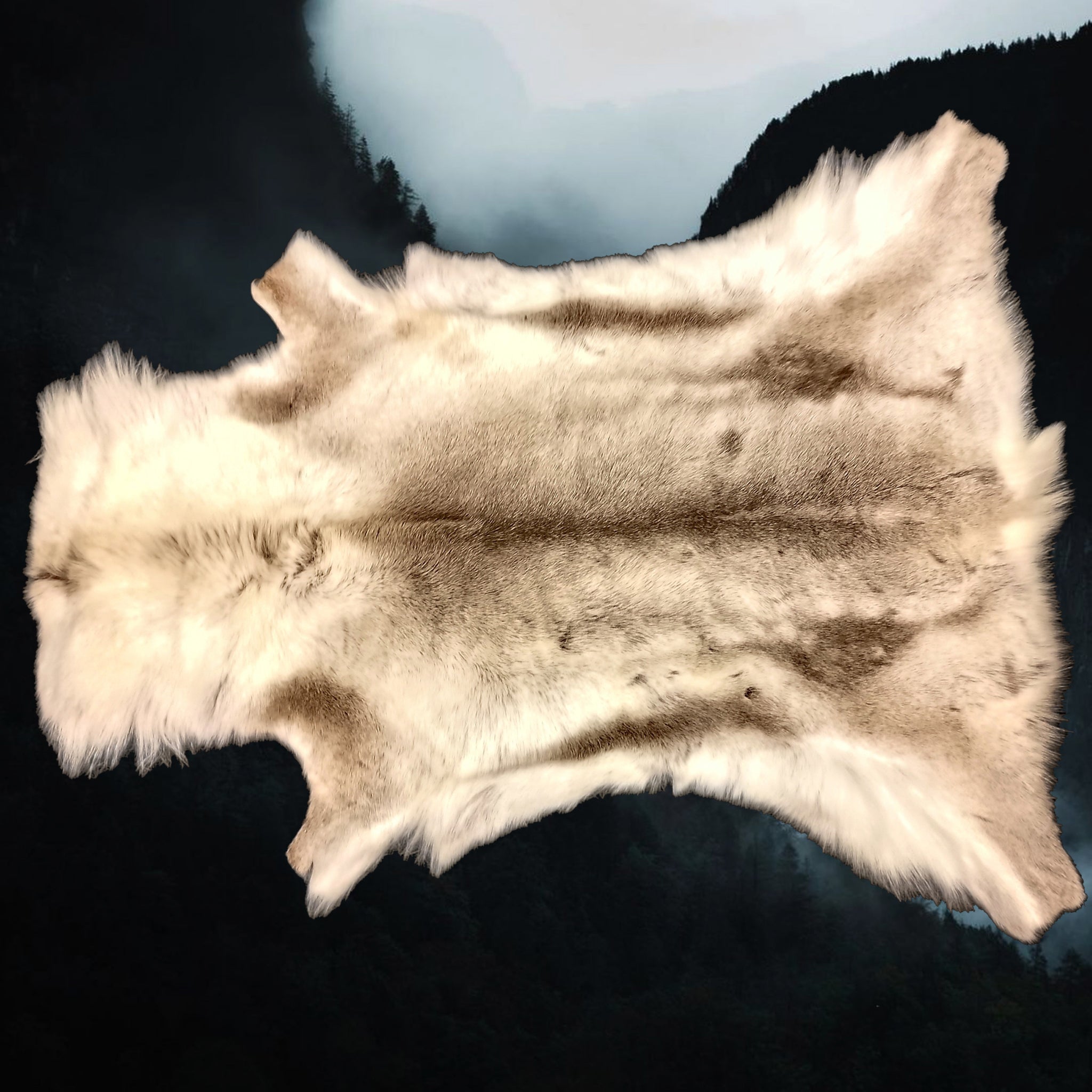 Full Light reindeer hide from Lappland - Animal Skins
