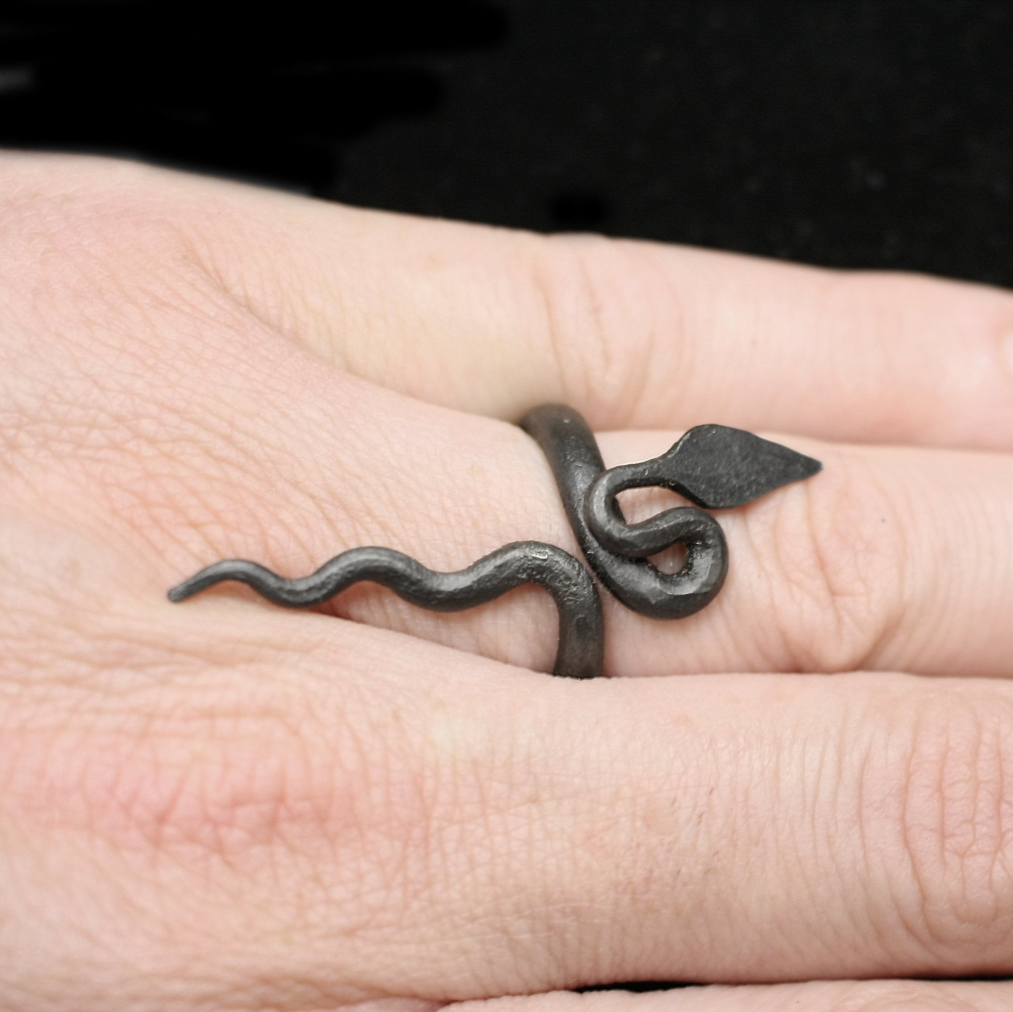 Iron Snake / Serpent Ring on Finger